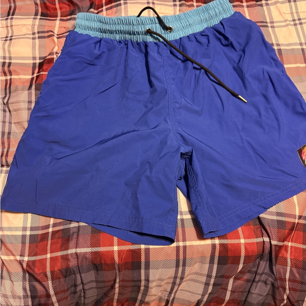 Vibrant Blue Athletic Shorts for Men